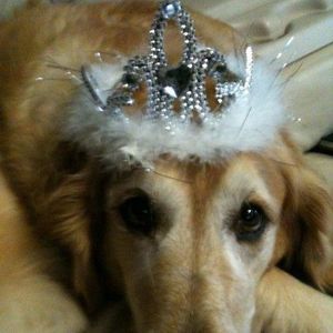 Meet your Posher, Lynn